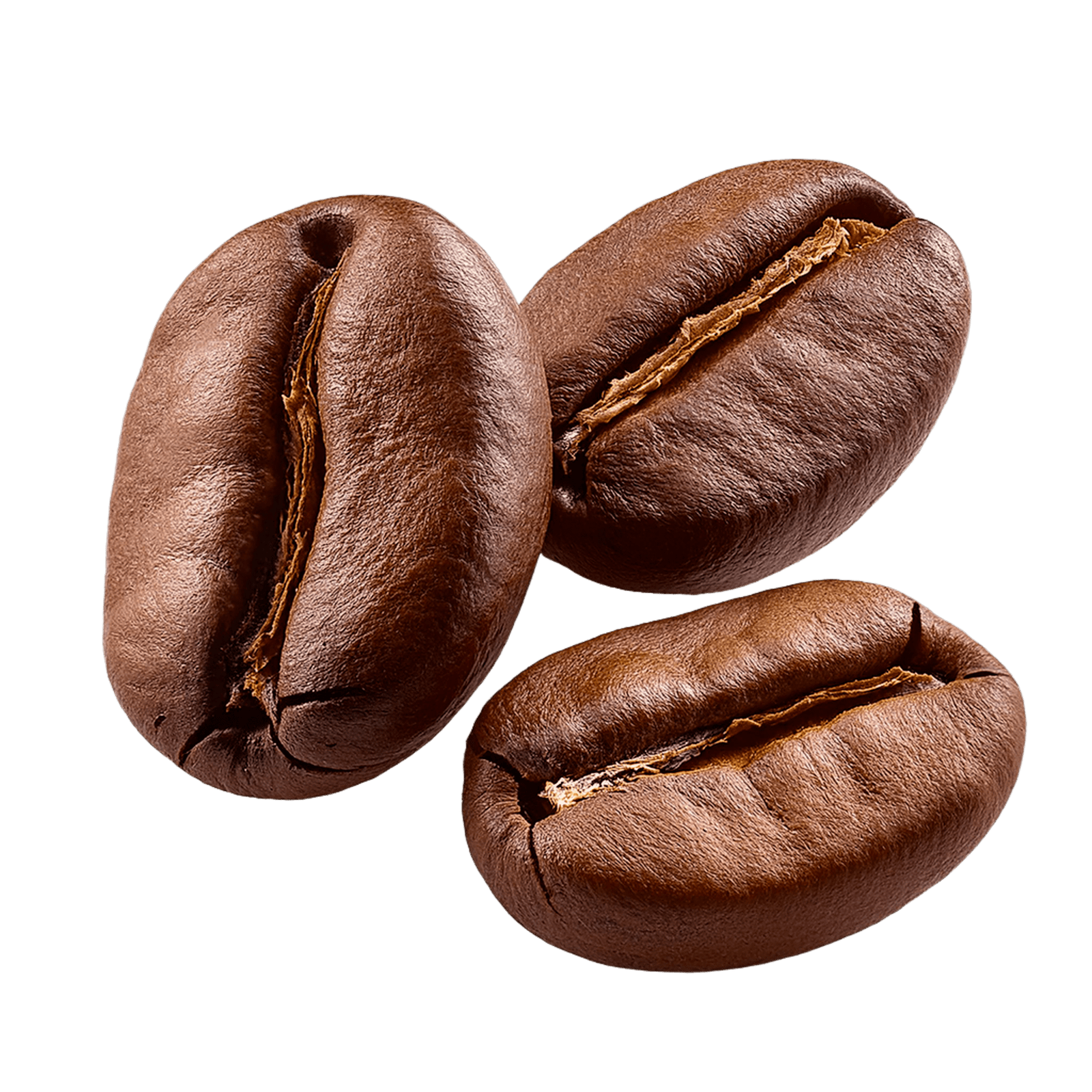 Premium Coffee Bean